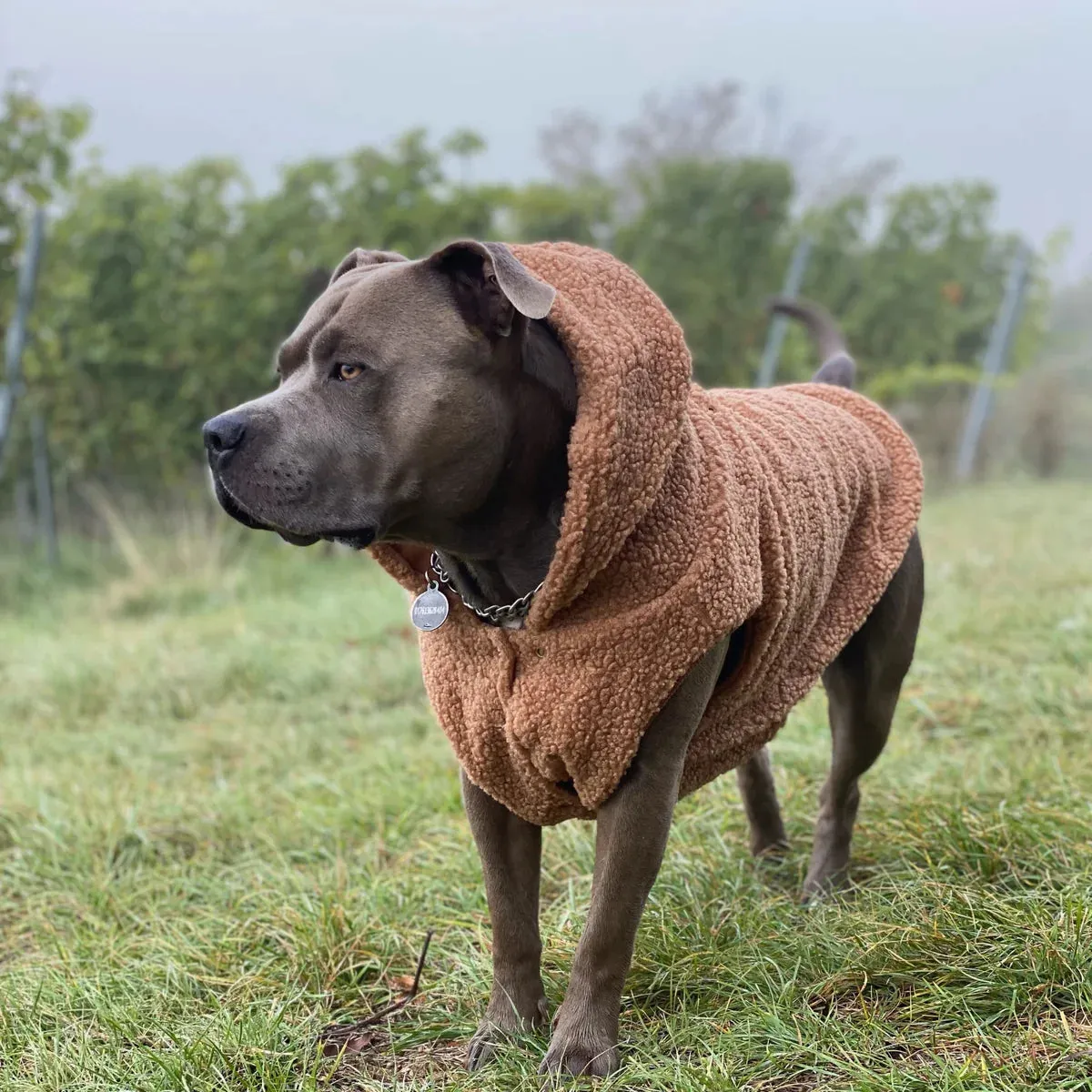 Brown Sherpa Jacket