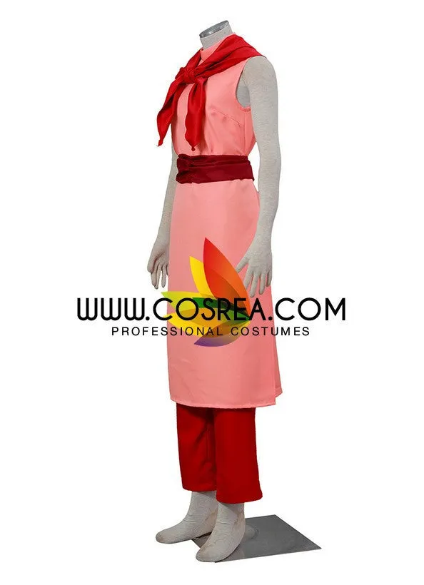 Dragon Ball Chi Chi Cosplay Costume