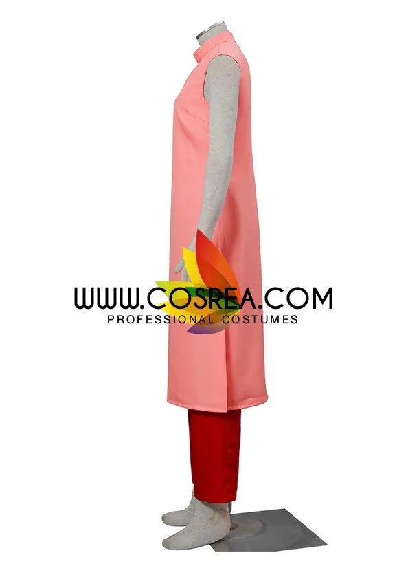 Dragon Ball Chi Chi Cosplay Costume