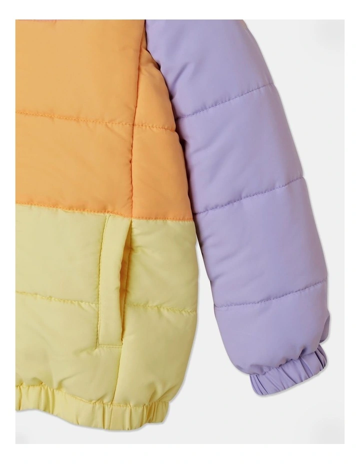 Hooded Puffer Jacket in Rainbow