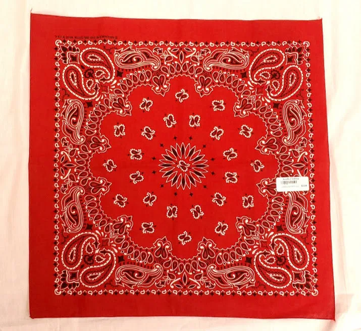 Red Paisley Bandana