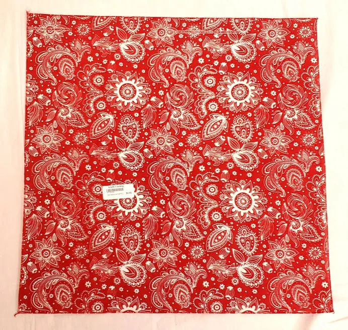 Red Prims Paisley Bandana